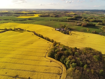 Agriculture